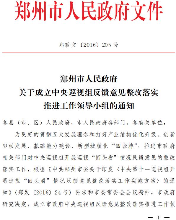 鄭政文〔2016〕205號《鄭州市人民政府關(guān)于成立中央巡視組反饋意見整改落實推進工作領(lǐng)導(dǎo)小組的通知》