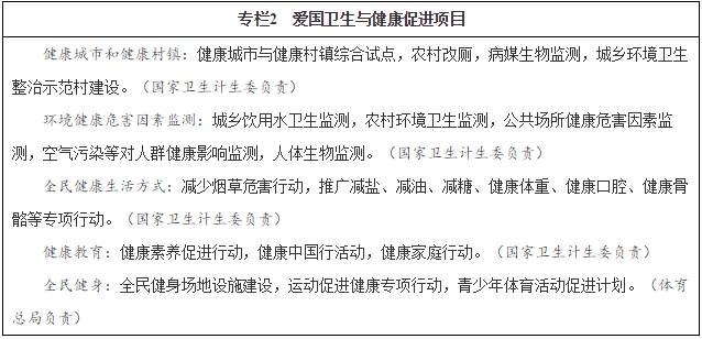 專欄2　愛國衛(wèi)生與健康促進項目