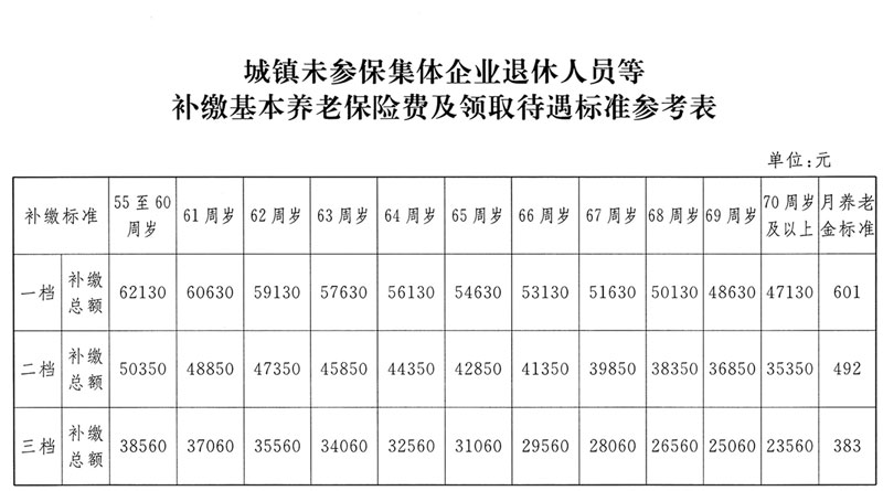 城鎮(zhèn)未參保集體企業(yè)退休人員等補繳基本養(yǎng)老保險費及領取待遇標準參考表